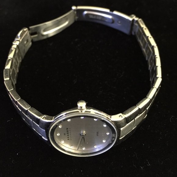 Skagen Classic Ladies Watch